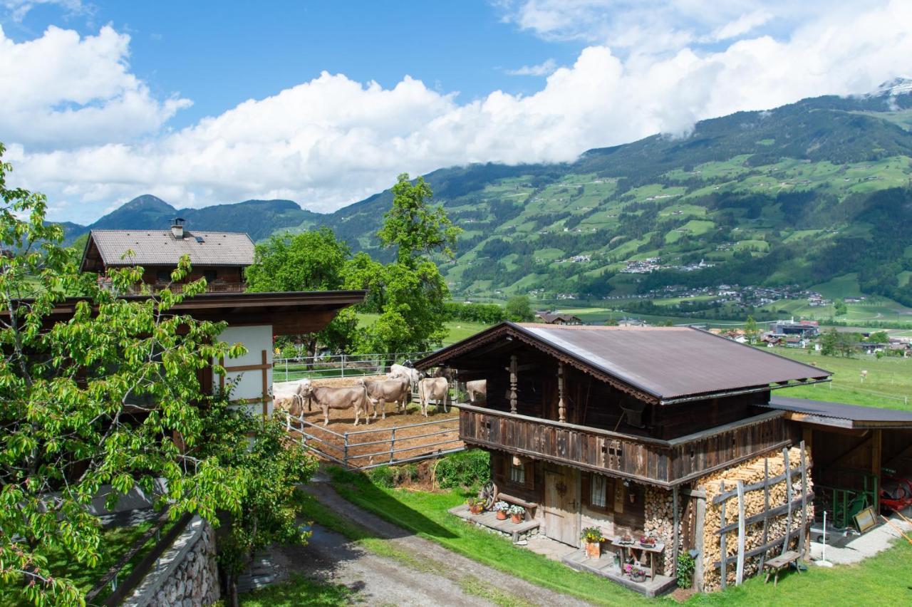 Villa Riemenerhof à Fügen Extérieur photo